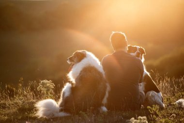 İnsan ve köpekleri güzel günbatımının tadını çıkarıyor.