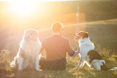 İnsan ve köpekleri güzel gün batımının tadını çıkarıyorlar..