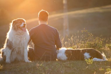 İnsan ve köpekleri güzel gün batımının tadını çıkarıyorlar..
