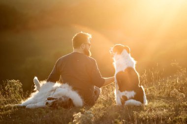 İnsan ve köpekleri güzel gün batımının tadını çıkarıyorlar..