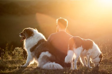 İnsan ve köpekleri güzel gün batımının tadını çıkarıyorlar..