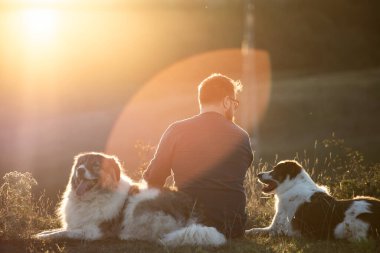 İnsan ve köpekleri güzel gün batımının tadını çıkarıyorlar..