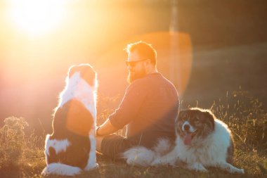 İnsan ve köpekleri güzel gün batımının tadını çıkarıyorlar..