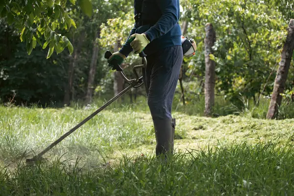 Çim biçme makinesiyle çimleri biçmek. Bahçe işleri konsepti.