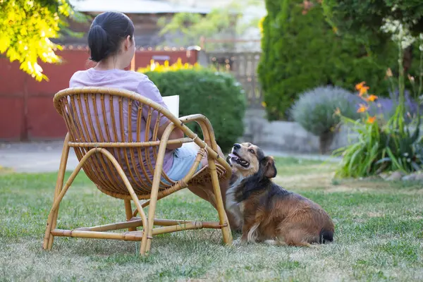 Kadın kitap okuyor, güneşli bir günde tüylü kahverengi köpeğiyle sandalyede dinleniyor. Hayvanlarla bağ kurma ve birlikte olmaktan keyif alma kavramı.