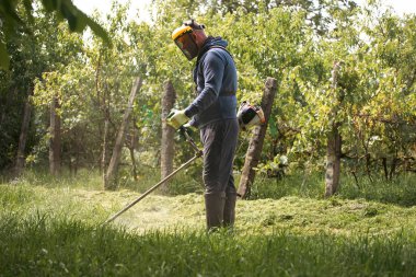 Çim biçme makinesiyle çimleri biçmek. Bahçe işleri konsepti.