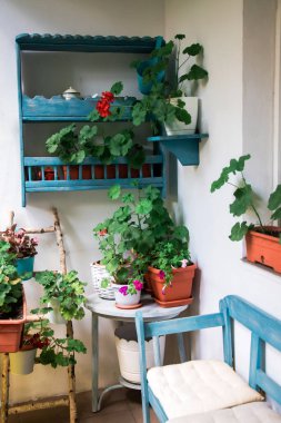 Yazın küçük, parlak bir apartman terası. Çiçekler ve mavi süslemelerle..