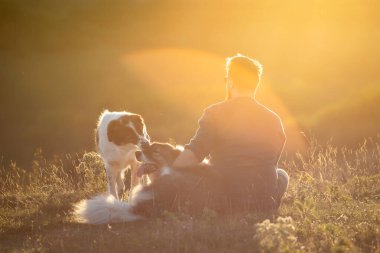 İnsan ve köpekleri güzel günbatımının tadını çıkarıyor.
