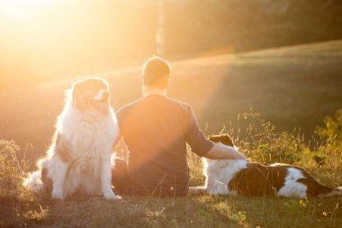 İnsan ve köpekleri güzel gün batımının tadını çıkarıyorlar..