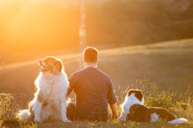 İnsan ve köpekleri güzel gün batımının tadını çıkarıyorlar..