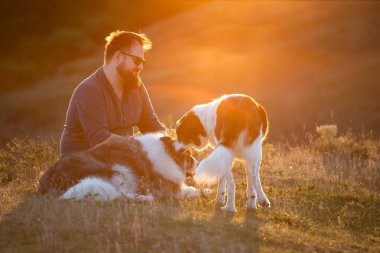 İnsan ve köpekleri güzel günbatımının tadını çıkarıyor.