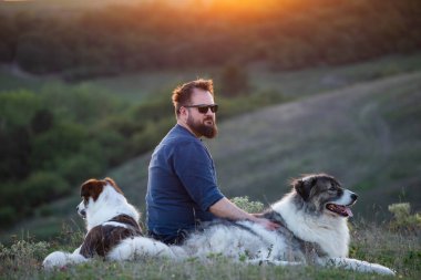 İnsan ve köpekleri güzel günbatımının tadını çıkarıyor