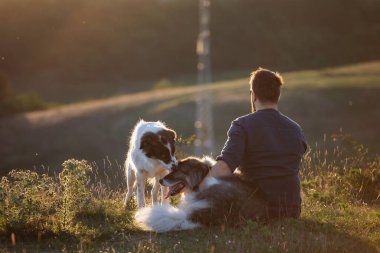 İnsan ve köpekleri güzel günbatımının tadını çıkarıyor.
