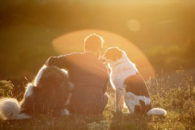 İnsan ve köpekleri güzel günbatımının tadını çıkarıyor.