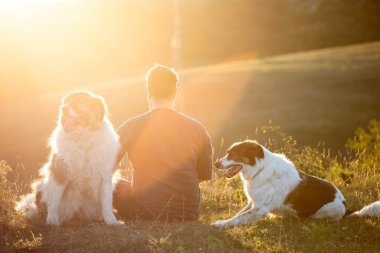 İnsan ve köpekleri güzel gün batımının tadını çıkarıyorlar..