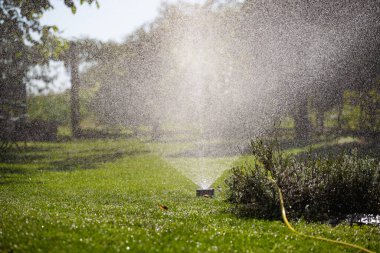 Su püskürtme sistemi yeşil bir çimenliği ince bir suyla suluyor..