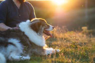 İnsan ve köpeği güzel gün batımının tadını çıkarıyorlar..