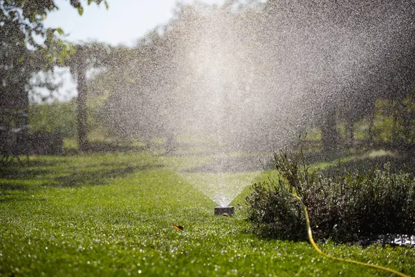 Su püskürtme sistemi yeşil bir çimenliği ince bir suyla suluyor..