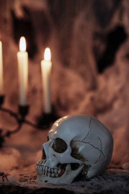 Dark Halloween background with human skull, candles and spider web. Spooky atmosphere, horror concept and holiday decoration.