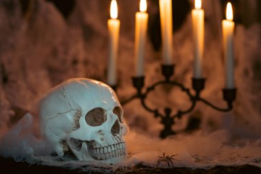 Dark Halloween background with human skull, candles and spider web. Spooky atmosphere, horror concept and holiday decoration.
