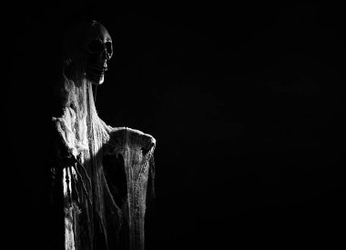 Creepy skeleton figure with skull in the dark. Wide banner format with copy space.