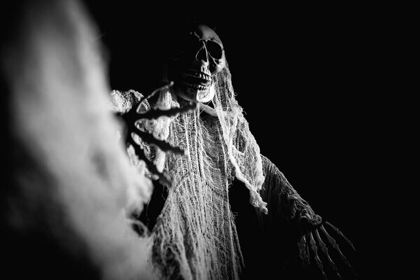 Creepy skeleton figure with skull in the dark. Halloween concept.