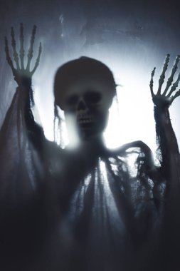 Creepy skeleton figure with skull behind matte glass. Halloween festival concept.Blurred picture