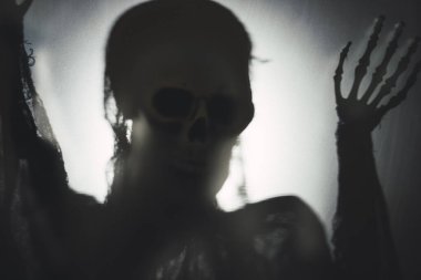 Creepy skeleton figure with skull behind matte glass. Halloween festival concept.Blurred picture