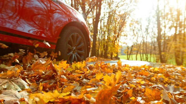 Close Car Wheel Driving Forest Road Swirling Colorful Leaves — Stock Photo, Image
