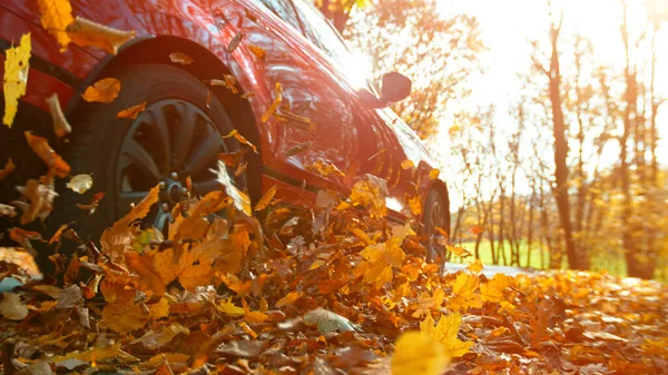 Крупный План Колеса Автомобиля Движущегося Лесной Дороге Закручивающего Красочные Листья — стоковое фото
