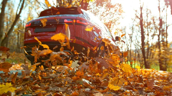 Detailní Záběr Automobilového Kola Jedoucího Lesní Cestě Vířící Barevné Listí — Stock fotografie
