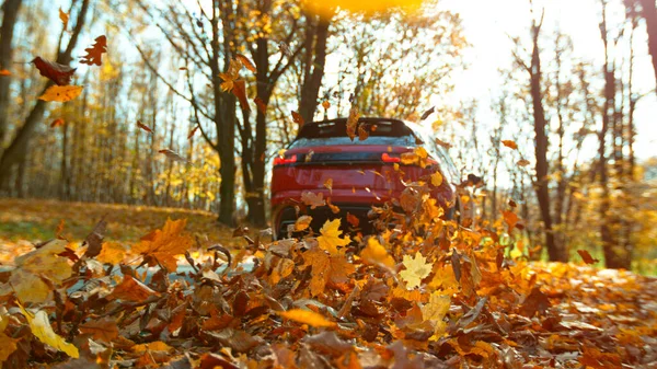 stock image Close-up of a car wheel driving in forest road, swirling colorful leaves.