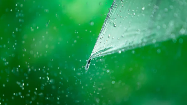 Regentropfen Auf Transparentem Regenschirm Gefrierbewegung — Stockfoto