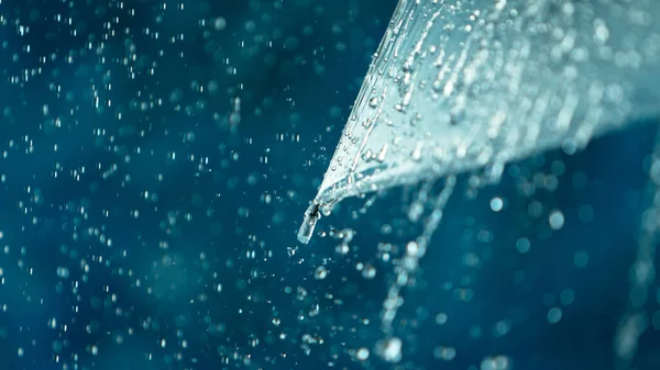 Gocce Pioggia Ombrello Trasparente Movimento Congelamento — Foto Stock