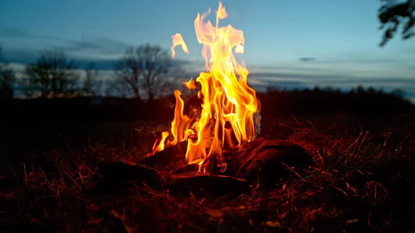 Gün Batımında Orman Çayırı Nda Şenlik Ateşi Yanması Doğadaki Şöminenin — Stok fotoğraf