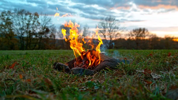 日落时森林草地上的篝火熊熊燃烧 萤火虫在自然界中的缓慢运动 — 图库照片