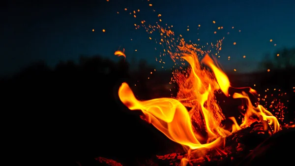 日没時に森の牧草地でのたき火の燃焼 自然界における暖炉の減速 — ストック写真