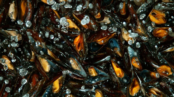 Falling Mussels Water Black Background Top Shot — Stock Photo, Image