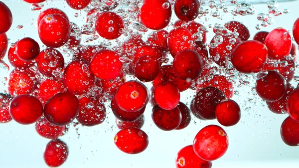 Cranberries Vermelhas Frescas Caindo Água Fundo Branco — Fotografia de Stock
