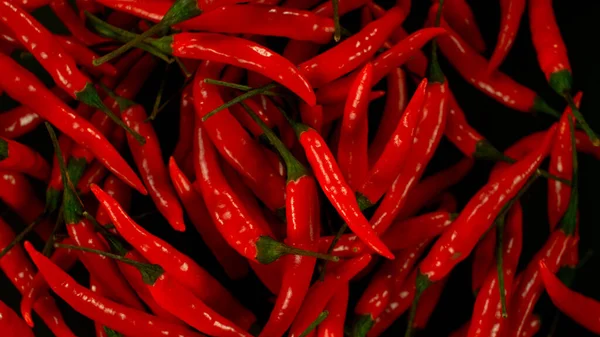 Chilli Peppers Flying Air Freeze Motion Isolated Black Background — Stock Photo, Image