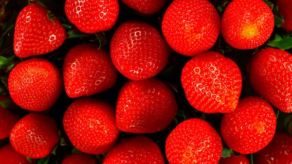 Παγώστε Motion Shot Των Flying Fresh Strawberries Macro Shot — Φωτογραφία Αρχείου