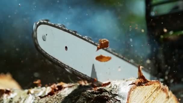 Super Zeitlupe Einer Kettensäge Beim Schneiden Des Holzstammes Gefilmt Mit — Stockvideo
