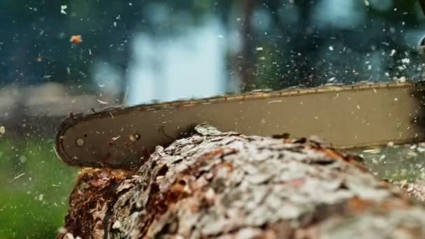 Super Slow Motion Chainsaw Cutting Wooden Log Съемки Высокой Скорости — стоковое видео