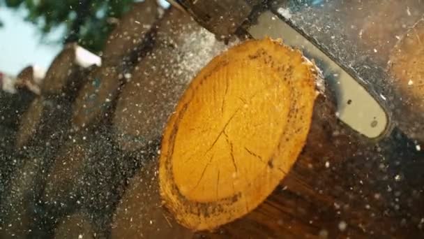 Super Slow Motion Chainsaw Cutting Wooden Log Filmed High Speed — Stock Video