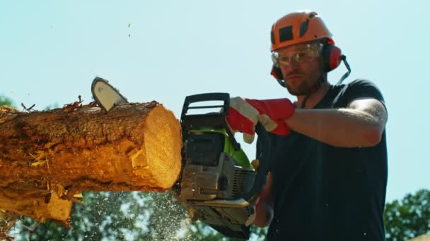 Super Slow Motion Chainsaw Cutting Wooden Log Filmado Cámara Cine — Vídeos de Stock