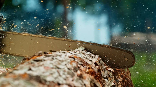 チェーンソーのフリーズ 木の丸太を切る動き — ストック写真