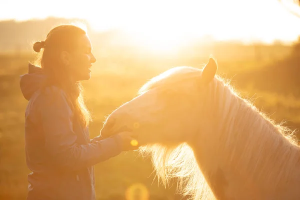 Tinker Horse Galineers Cob Girl Field Rising Morning Sun — Stock Photo, Image