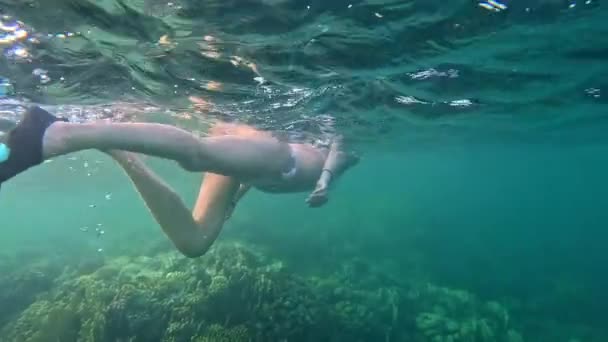 Brünette Frau Mit Schnorchelmaske Und Schlauch Die Meer Schwimmt Unterwasserblick — Stockvideo