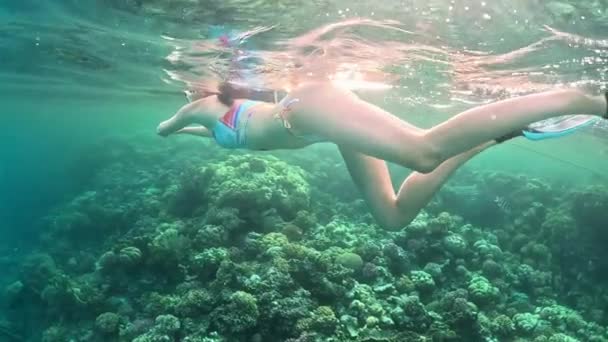 海でシュノーケリングマスクとチューブスイミングとブルネットの女性 水中の景色 — ストック動画