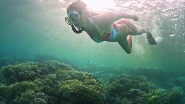 海でシュノーケリングマスクとチューブスイミングとブルネットの女性 水中の景色 — ストック動画